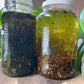 Herbal Magic Ayurvedic Hair Growth Oil (Extra Strength)